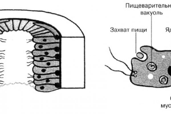 Ссылка омг анион